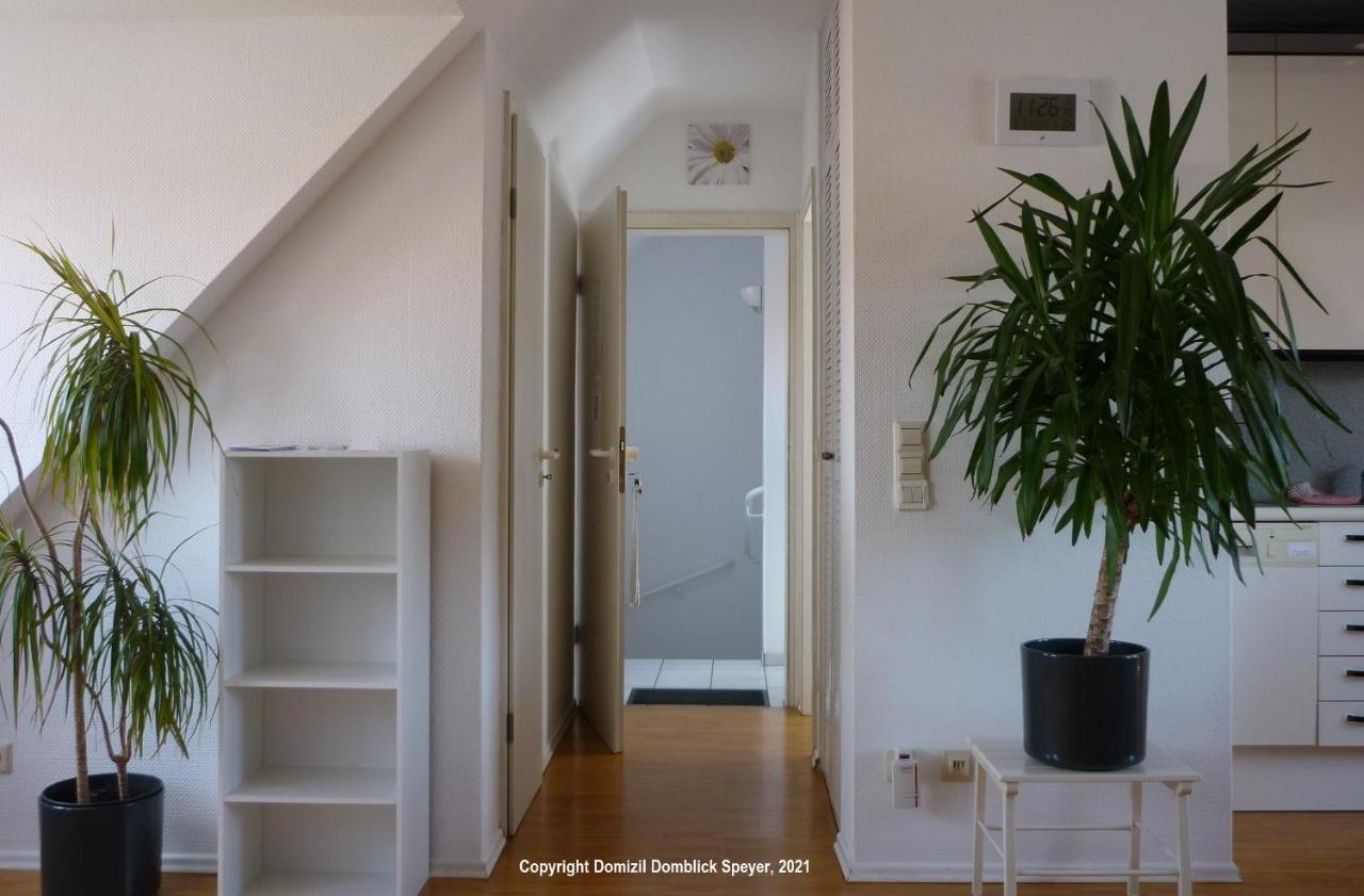 Domizil Domblick Speyer City, Garage, 50M2 Exterior foto