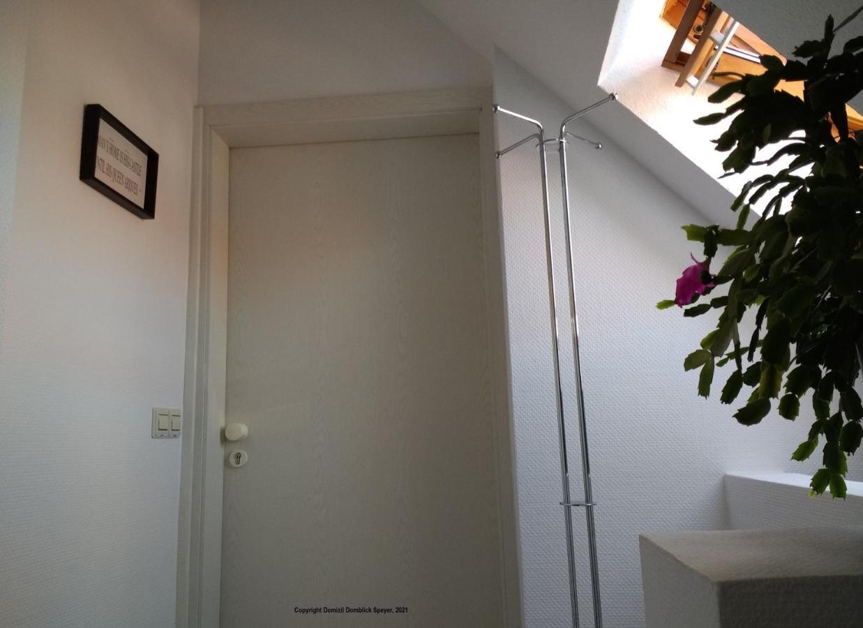 Domizil Domblick Speyer City, Garage, 50M2 Exterior foto