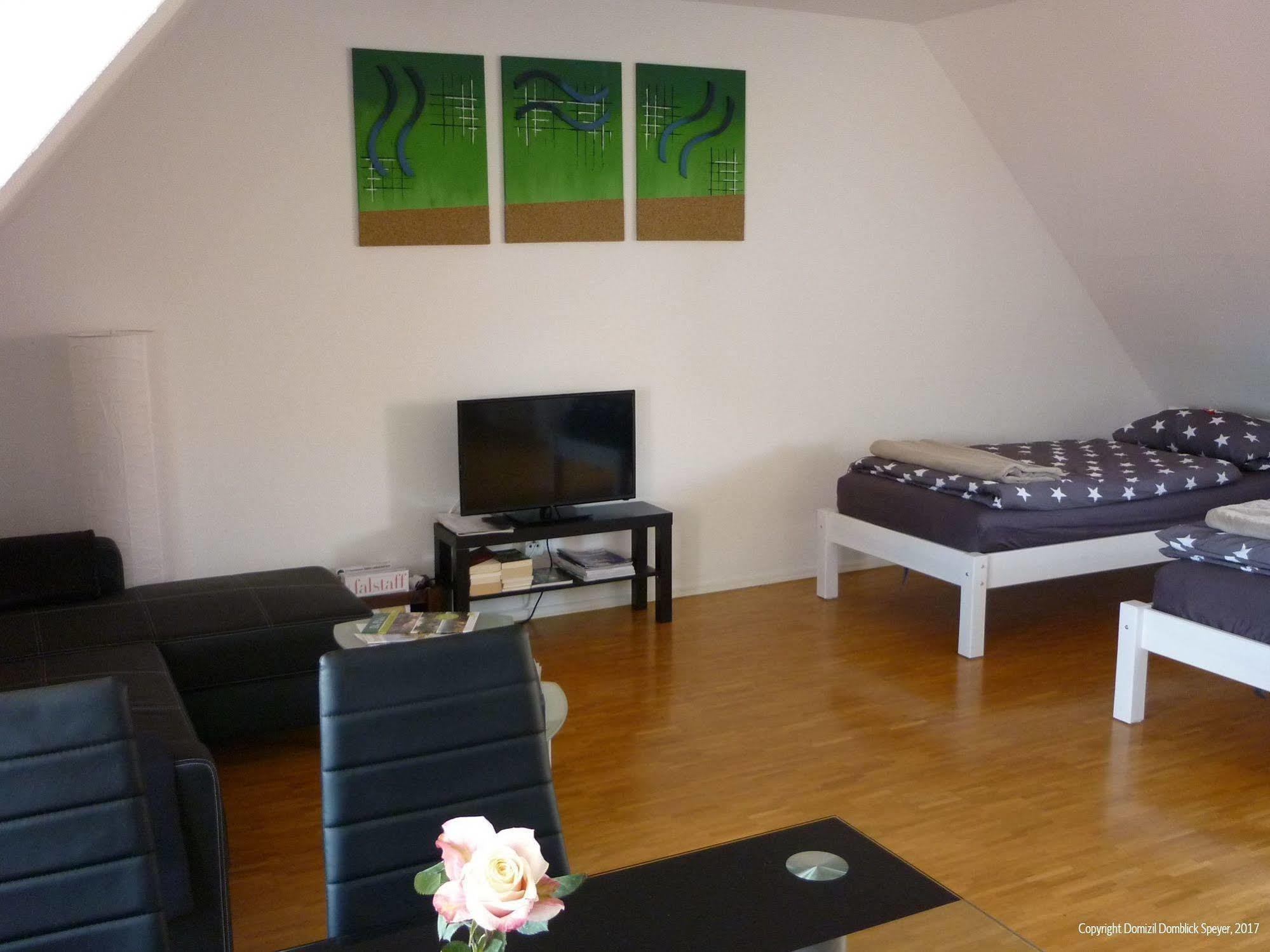 Domizil Domblick Speyer City, Garage, 50M2 Exterior foto