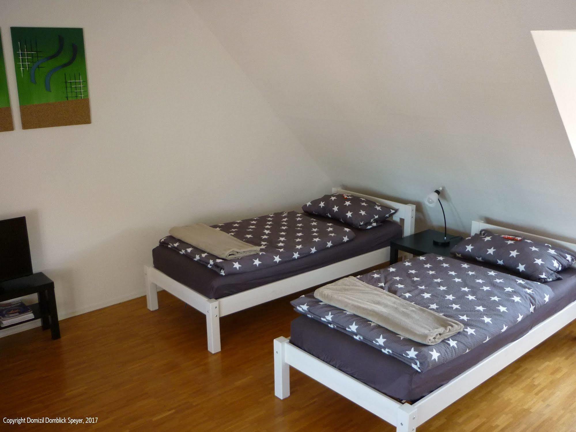 Domizil Domblick Speyer City, Garage, 50M2 Exterior foto